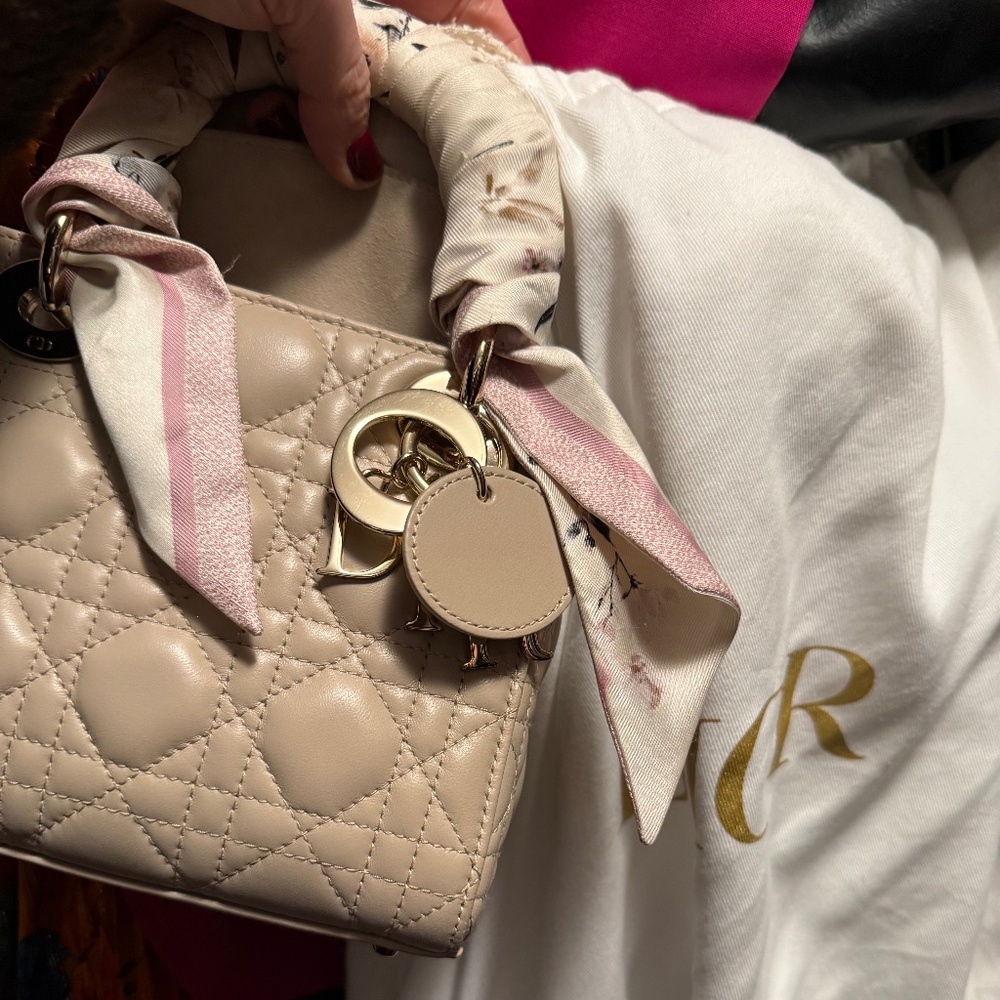 Perfect Lady Dior